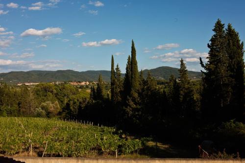 Greve in Chianti Apartment | Apt Alice - Apartment in the Vineyards