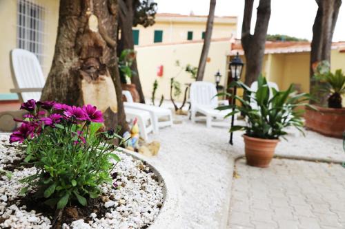 Rosignano Solvay Bed & Breakfast | Aria di Mare