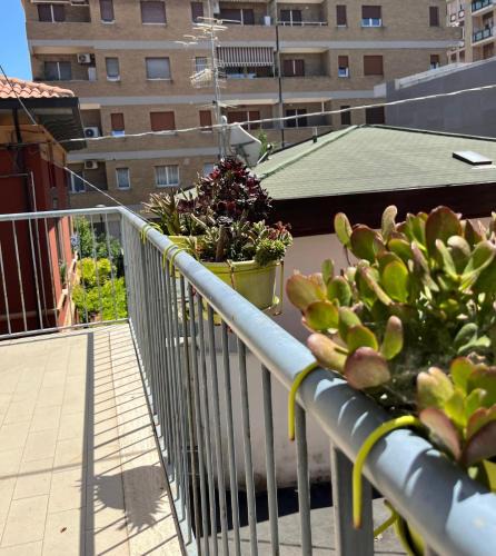 Pescara Bed & Breakfast | Bed and Breakfast Sofia