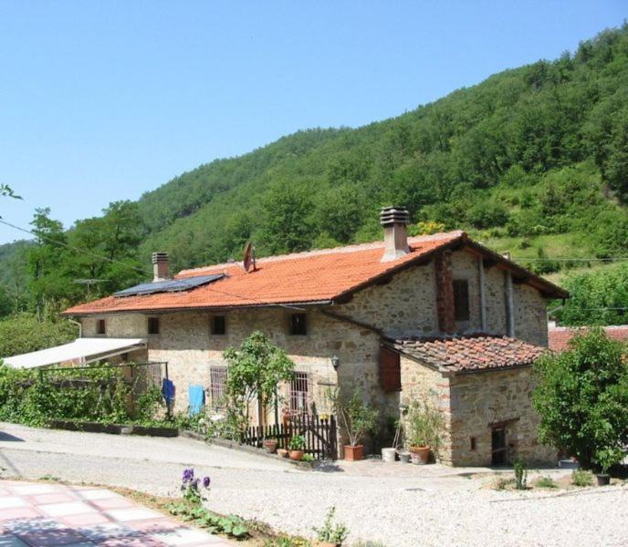 Vicchio House | Casa Botena