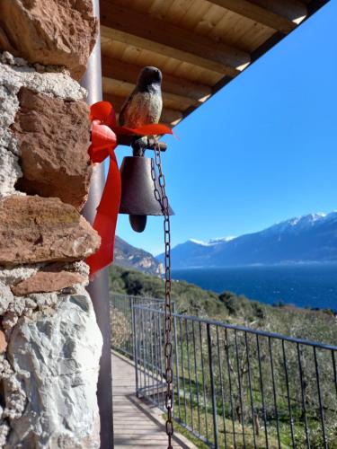 Villavetro House | Casa del Codirosso