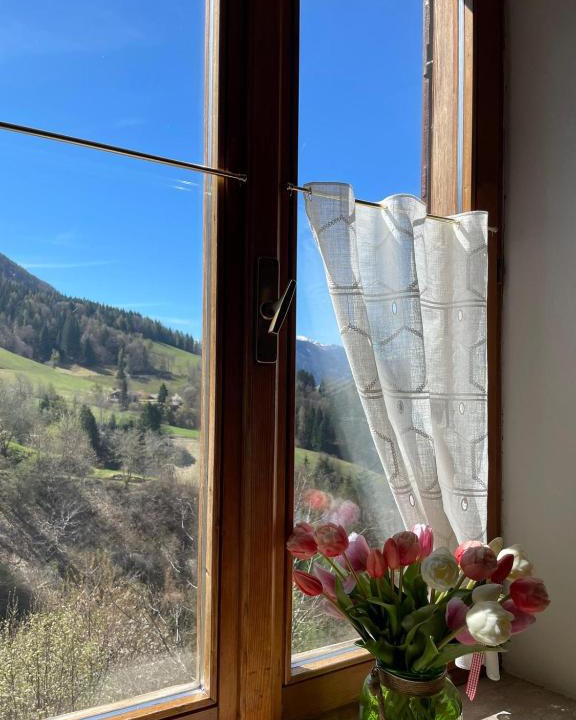 Revo House | CASA IDA - ClPAT 22253