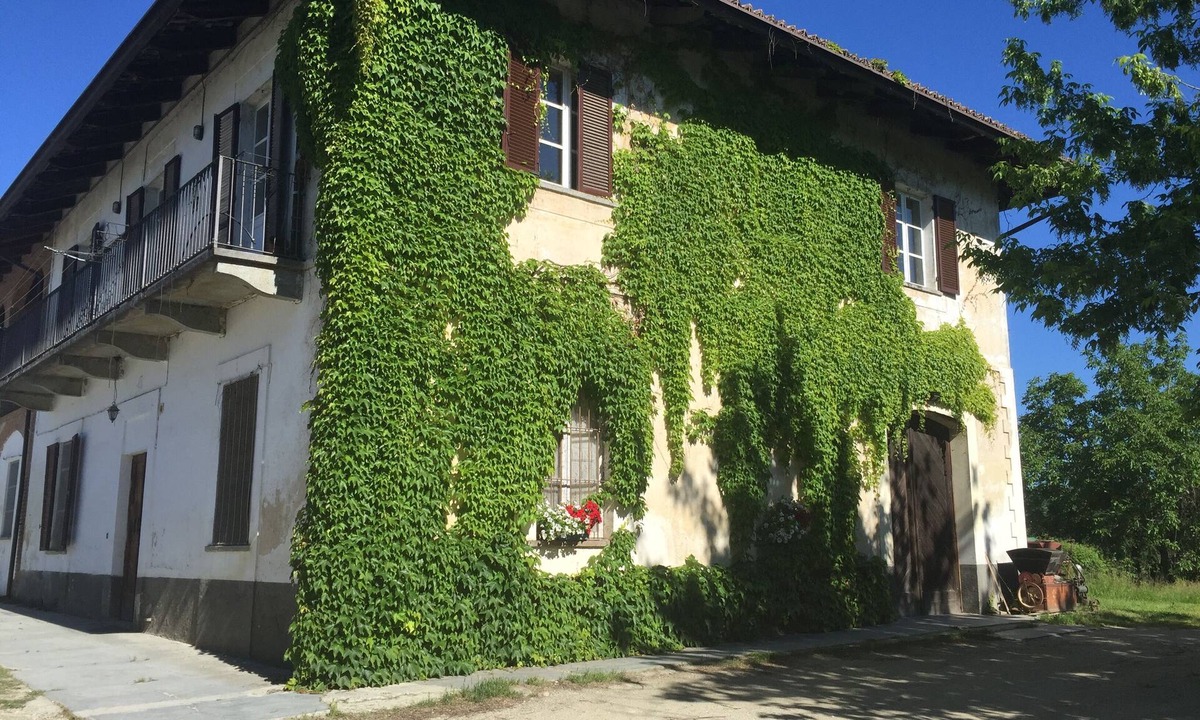 Alba Apartment | Cascina Garbianotto, among woods and vineyards