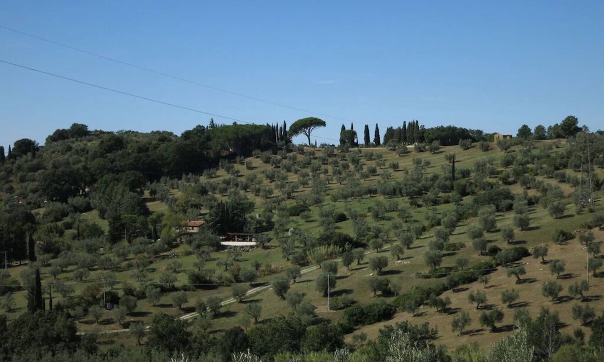 Riparbella Apartment | Gatto Nero - Located on beautiful hills with island view only 8 Km From The Sea!