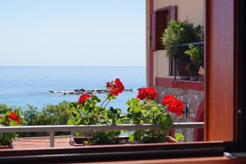 Agnone Cilento House | I Bellini
