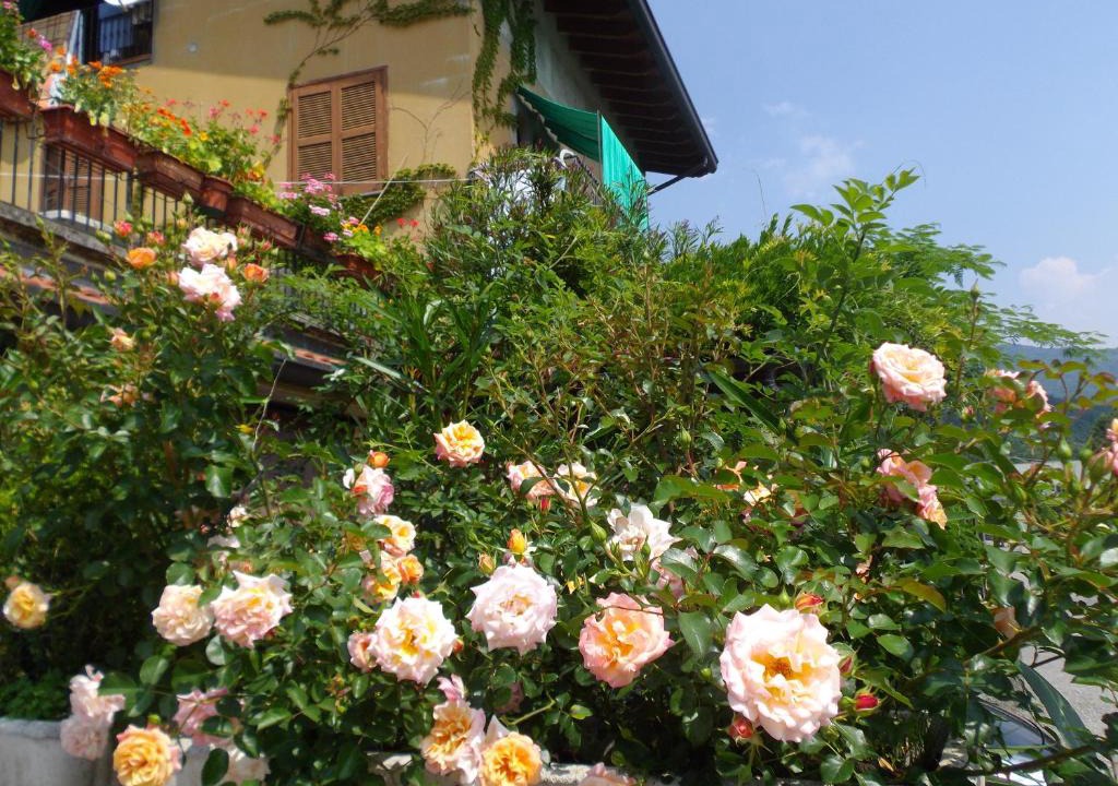 Canova Bed & Breakfast | Il Giuggiolo