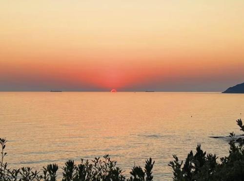Rosignano Marittimo Apartment | Tuscan seafront apartment with private access to sea