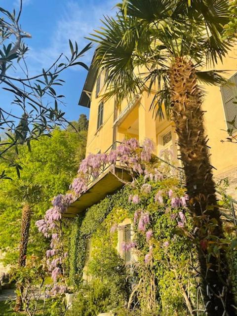 Perledo Apartment | Villa Gina