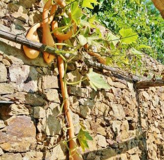 Noli House | Agriturismo Costamagna