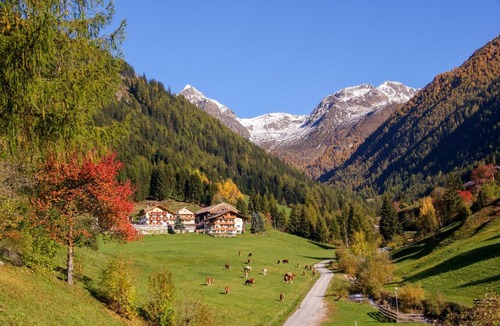 Terento House | Alpegger