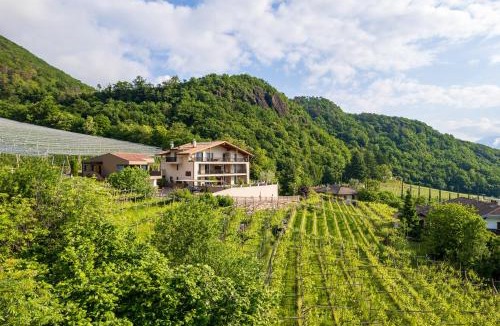 Castelvecchio Alto Apartment | Apfelhof