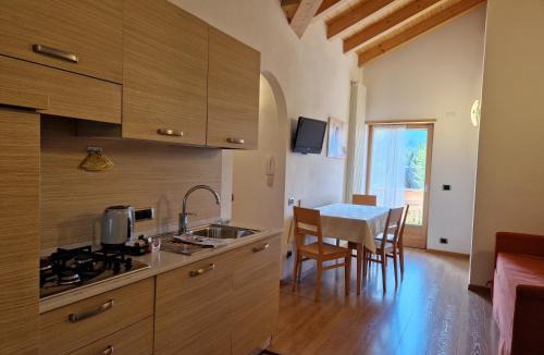 San Martino di Castrozza Apartment | Appartamento da Meto