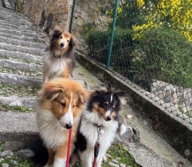 Trissino Bed & Breakfast | B&B ALLE SCALETTE