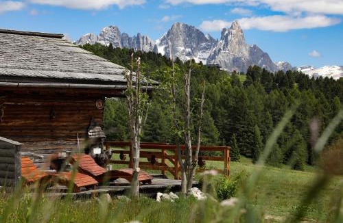 Predazzo Ski Chalet | Baita Medil