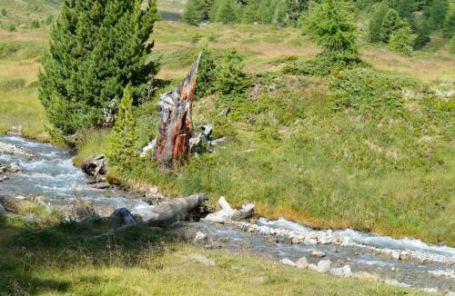 Madonna di Senales Hotel | Berghotel Tyrol