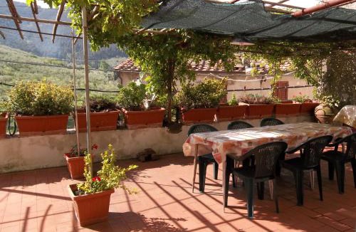 Montemagno House | Casa David