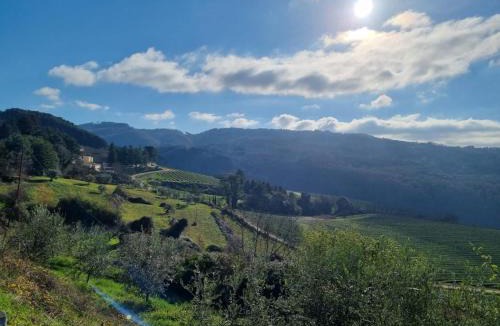 Rufina House | Casa relax in campagna Rufina