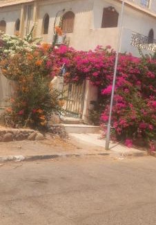El Hadaba Apartment | Cozy Comfy studio