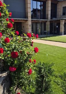 Adro House | Dimora Rosaspina Suite Eden e Suite Platinum