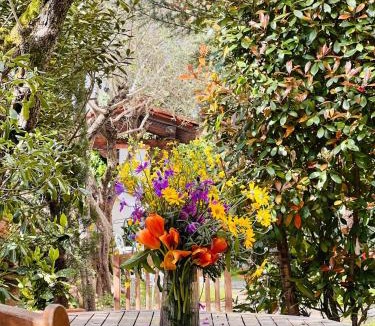 Lucca Historical Center House | Enzo’s House