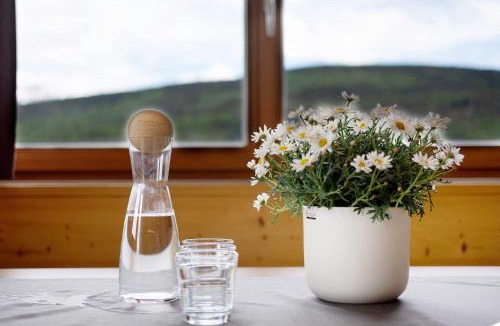 Maranza Apartment | Forchnerhof Apt Rose