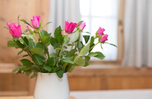 Riscone Bed & Breakfast | Garni Bachlerhof