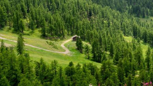 Borgata Sestriere Hotel | Hotel Hermitage