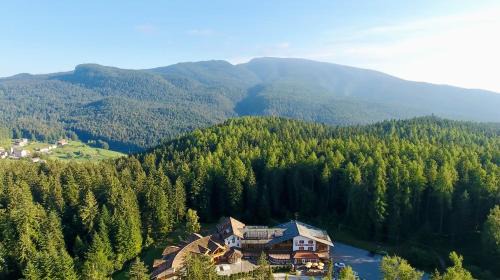Sarnonico Hotel | Hotel Waldheim