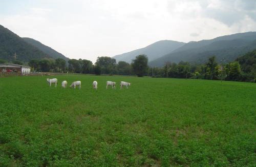 Terni House | L' Antico Casale