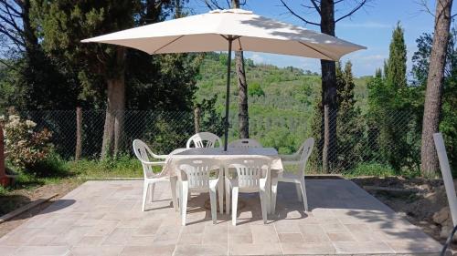 Terricciola Apartment | La Proda
