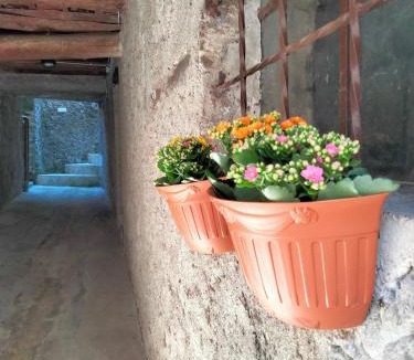 Diecimo Apartment | La Voltina