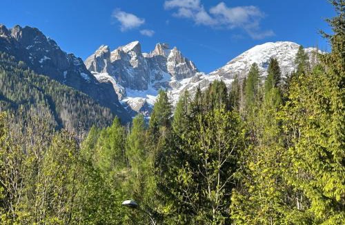 Caviola Apartment | New Dolomites, Marmolada, San Pellegrino, Falcade
