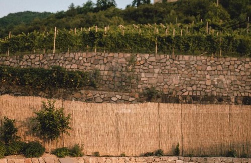 Cardano Apartment | Pitzner - Winery & Suites