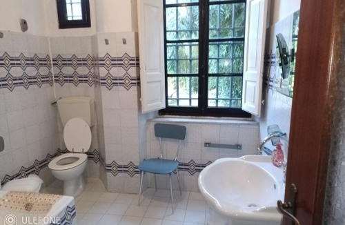 Nocchi Villa | Villa con parco e piscina-Camaiore