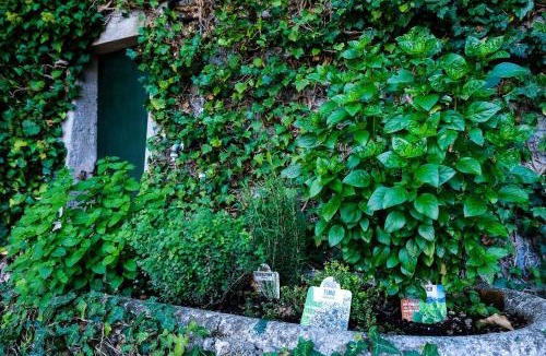 Perledo Apartment | Villa Gina