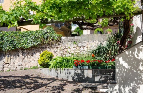 Termeno Sulla Strada del Vino Apartment | Weishof