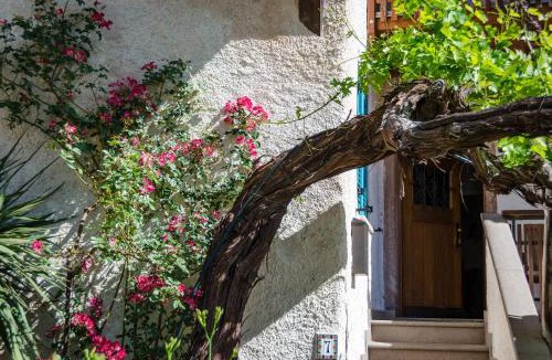 Termeno Sulla Strada del Vino Apartment | Weishof
