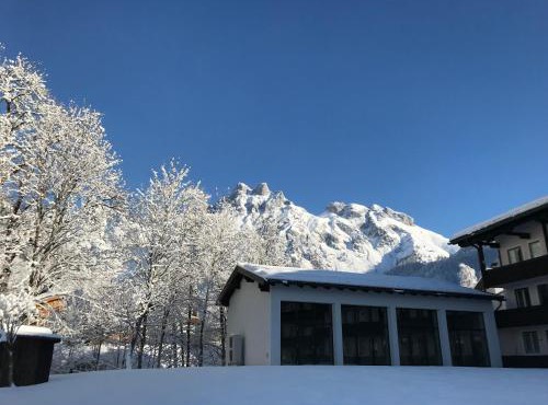 Alpenperle