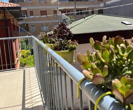 Bed and Breakfast Sofia