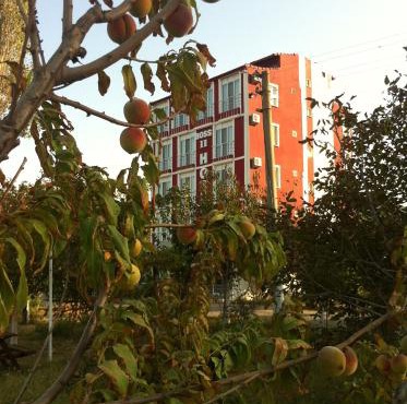 Boss 2 Hotel