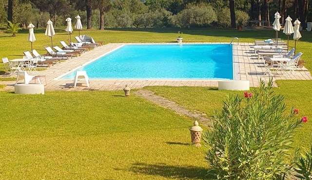 Casa Cilento Quadri Giardino