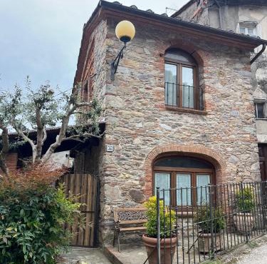 Casa Old Olive