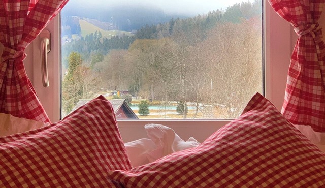 Cozy Tiny Duplex Apartment, Lake 150m, 5 min to the Ski Lift, up to 4 pers