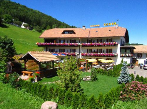 Hotel Pausa