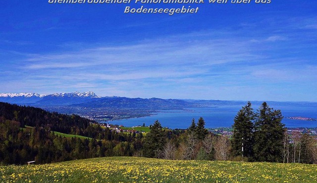 Mühlenhof