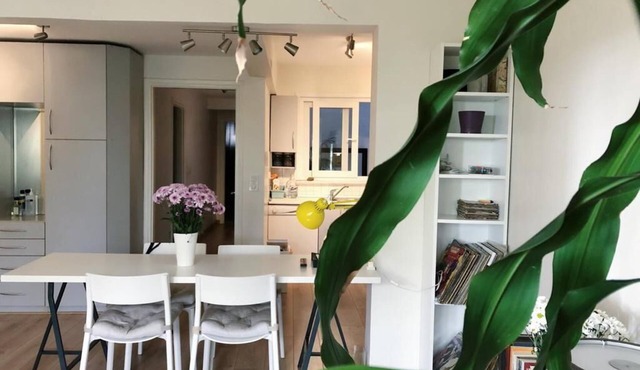 Quiet and Charming 2-bedroom apartment with WiFi, AC in the heart of Istanbul