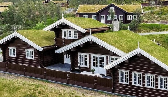 Soulful cabin with ski-in access in Rauland