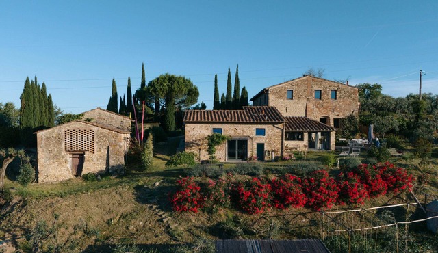 Timeless Beauty in Chianti