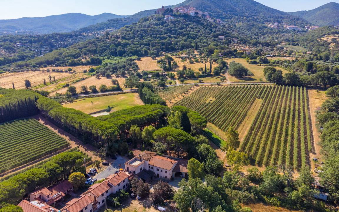 Photo of Others in Scarlino