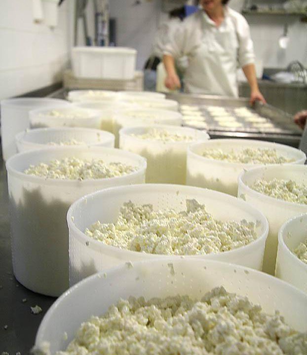 Photo of Others in San Casciano in Val di Pesa